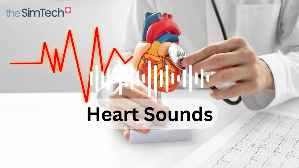 A person uses a stethoscope on a heart model with a heart rate monitor graph. Text overlay reads "Heart Sounds" and "the SimTech +" logo is in the corner.