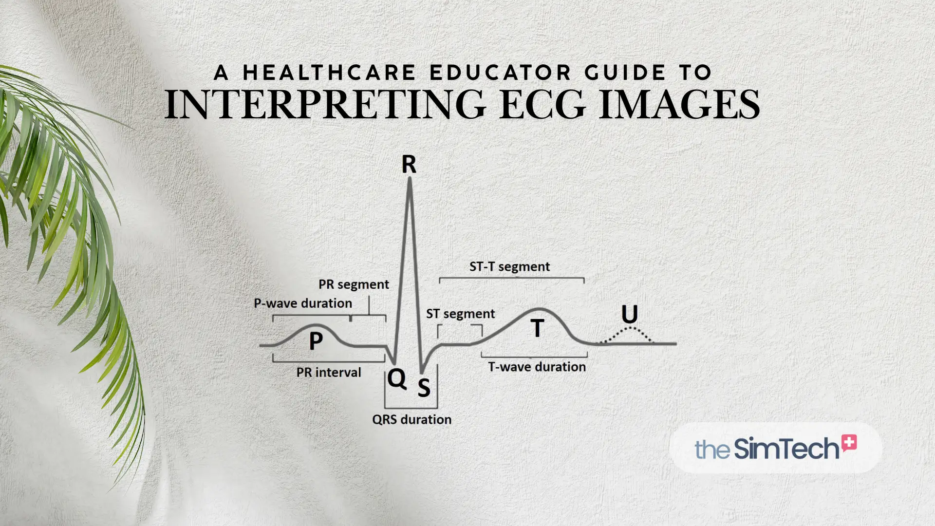 A Healthcare Educator’s Guide to Interpreting ECG Images