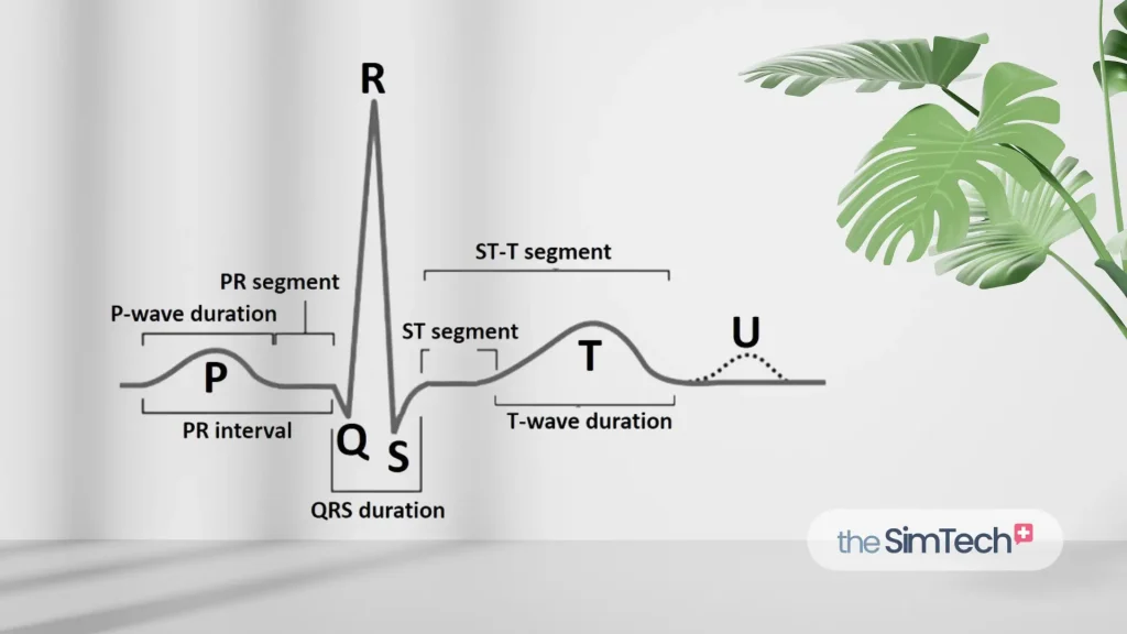 Diagram of an ECG wave with labeled segments: P-wave, QRS complex, T-wave, PR interval, ST segment, ST-T segment, and T-wave duration. A plant is partially visible on the upper right. There's a "theSimTech" logo in the bottom right corner.