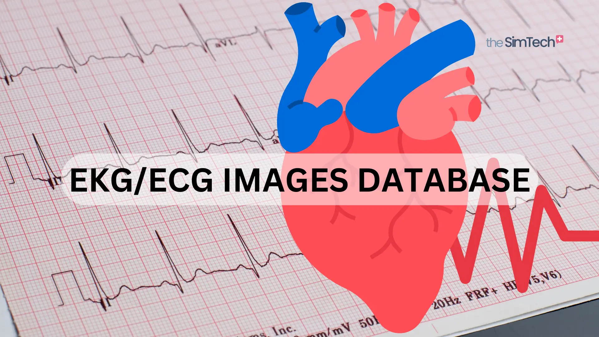 Illustration of a heart overlaid on an EKG/ECG graph, featuring a vibrant red and blue heart design. The text "EKG/ECG Images Database" stretches across the center, while the subtly faded "the SimTech" logo rests in the top right corner.